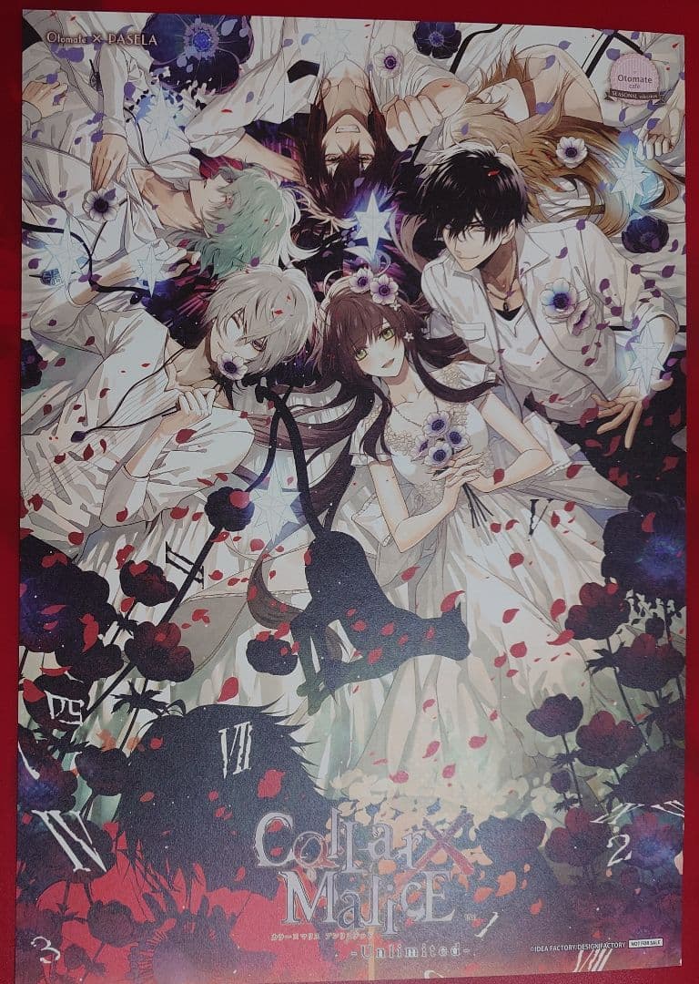 Collar×Malice カラマリ ランチョン