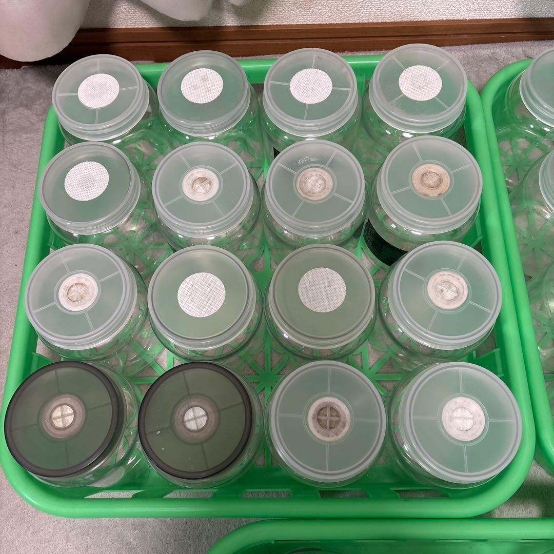 菌糸ボトル 800～830cc 32本 2300cc 5個 コンテナ3枚 まとめ