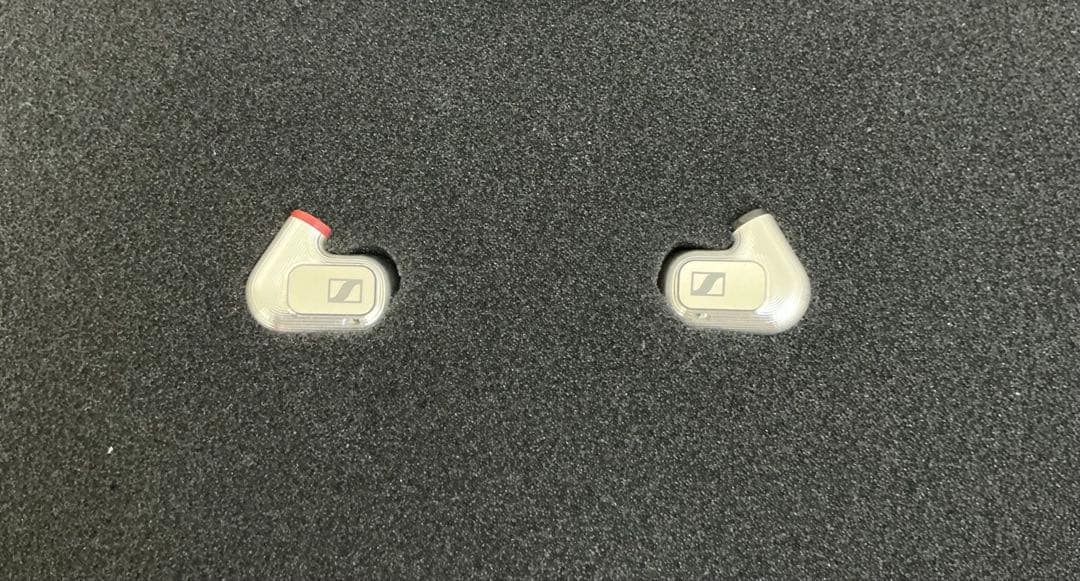 ゼンハイザーIE900 (ケーブル無し)(変換コネクタ付き)