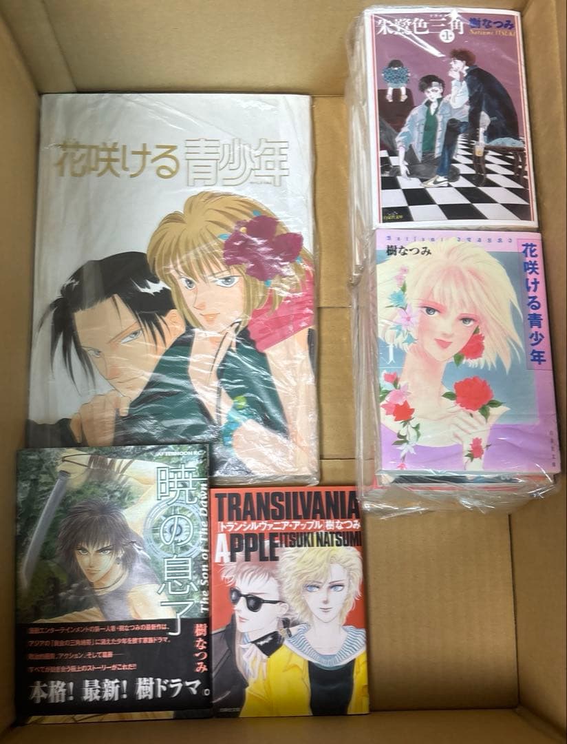 八雲立つ灼他　樹なつみ作品75冊 ➕獣王星初回特別編DVD4枚セット ➕おまけ