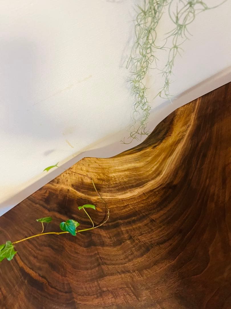 ブラックウォールナット　一枚板テーブル　ローテーブル