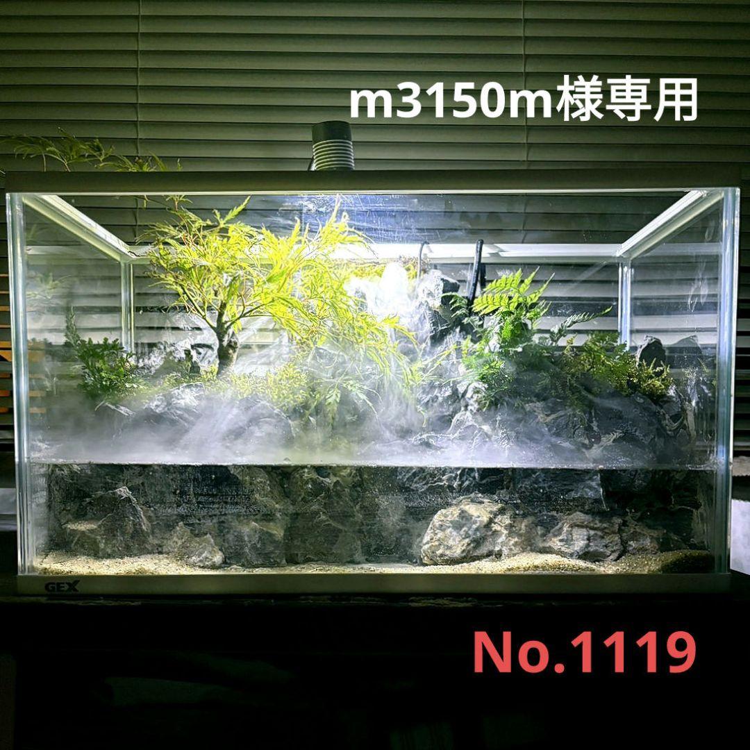 滝と霧の流れるアクアテラリウム　m3150m