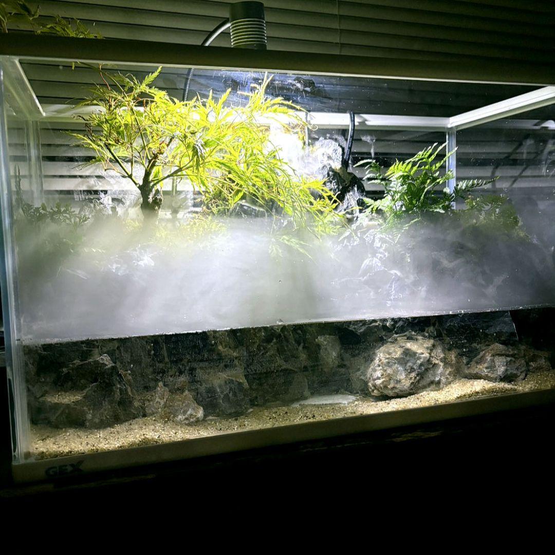 滝と霧の流れるアクアテラリウム　m3150m