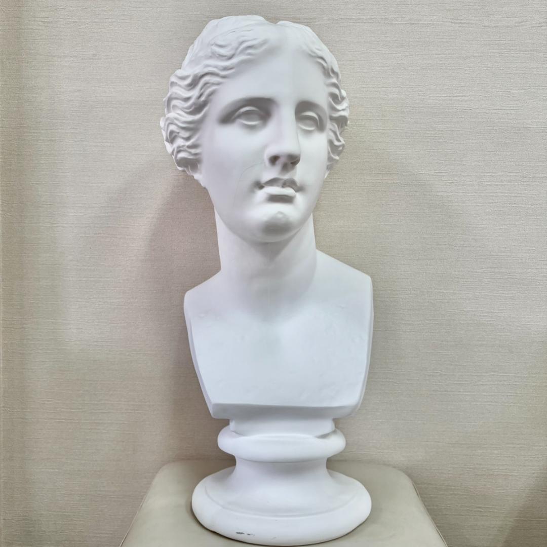 ヴィーナス胸像 デッサン用 石膏像 胸像 中古 教材 オブジェ インテリア 美術