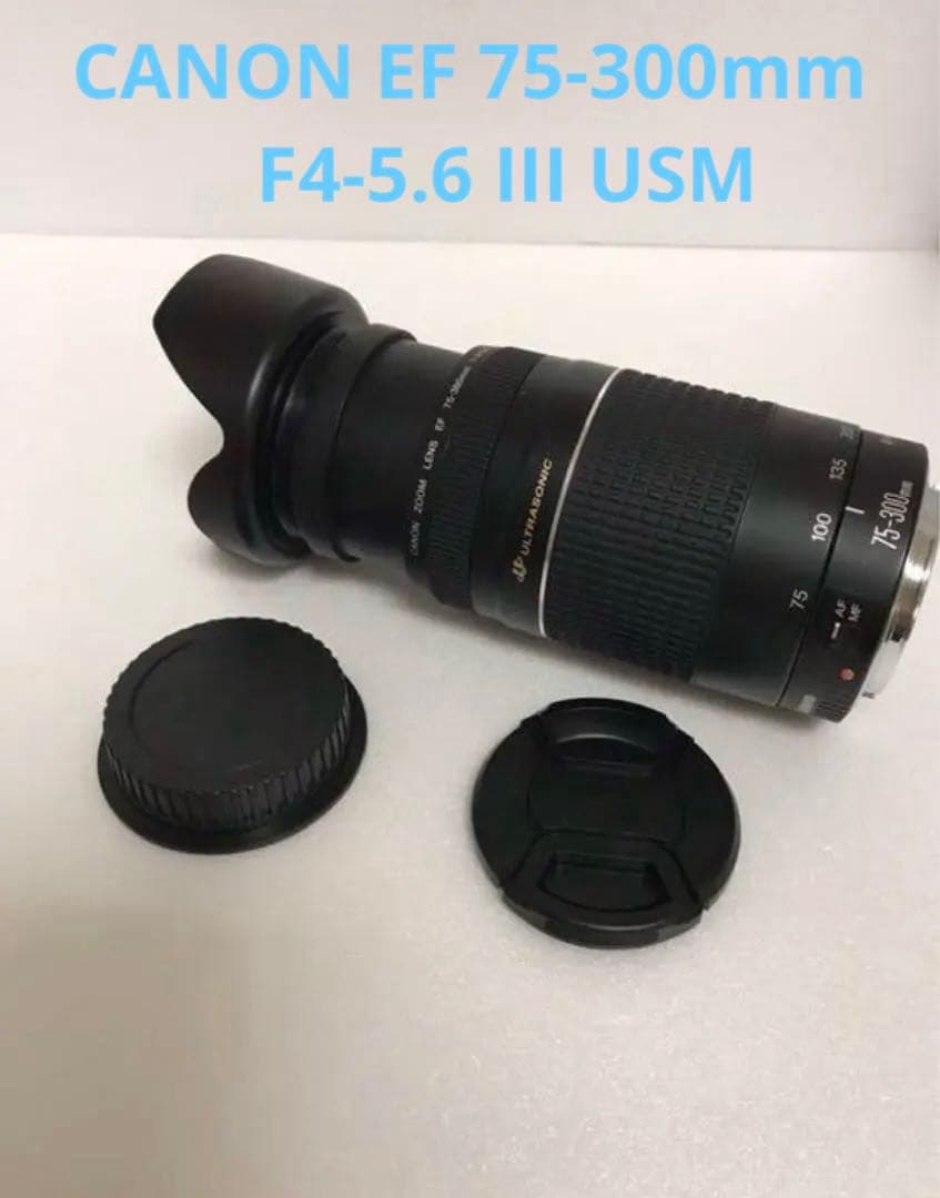 キャノン☆迫力の300㎜☆Canon EF75-300 F4-5.6 III
