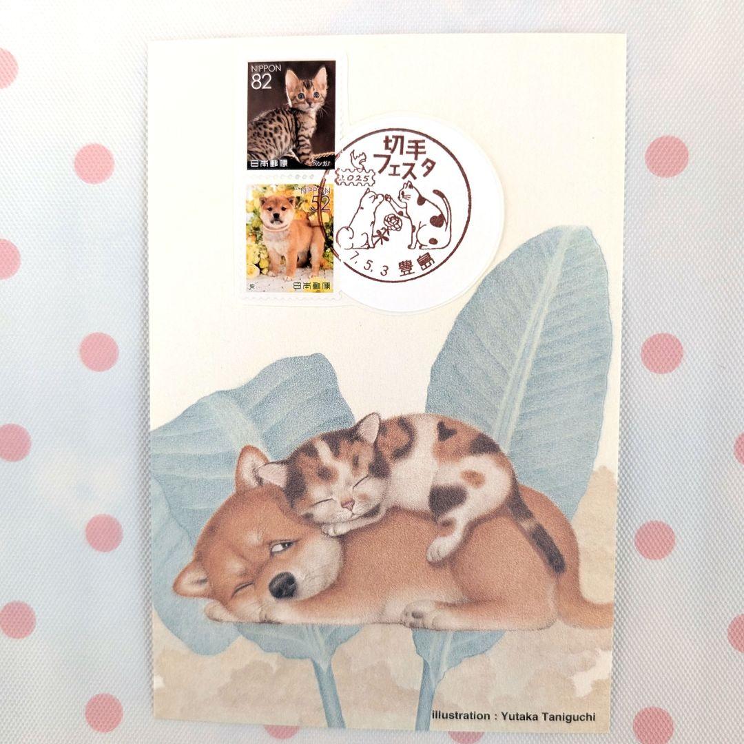 コレクション deen.like.live