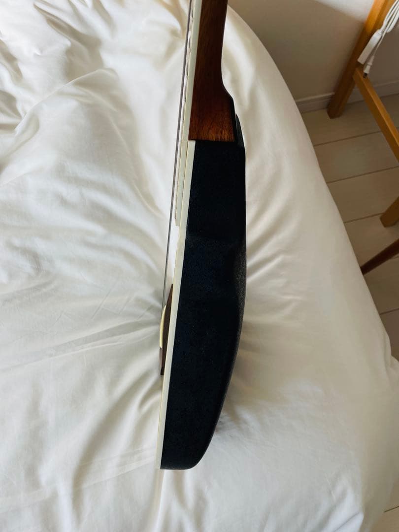 マスタークラフト　ミニエレアコギター