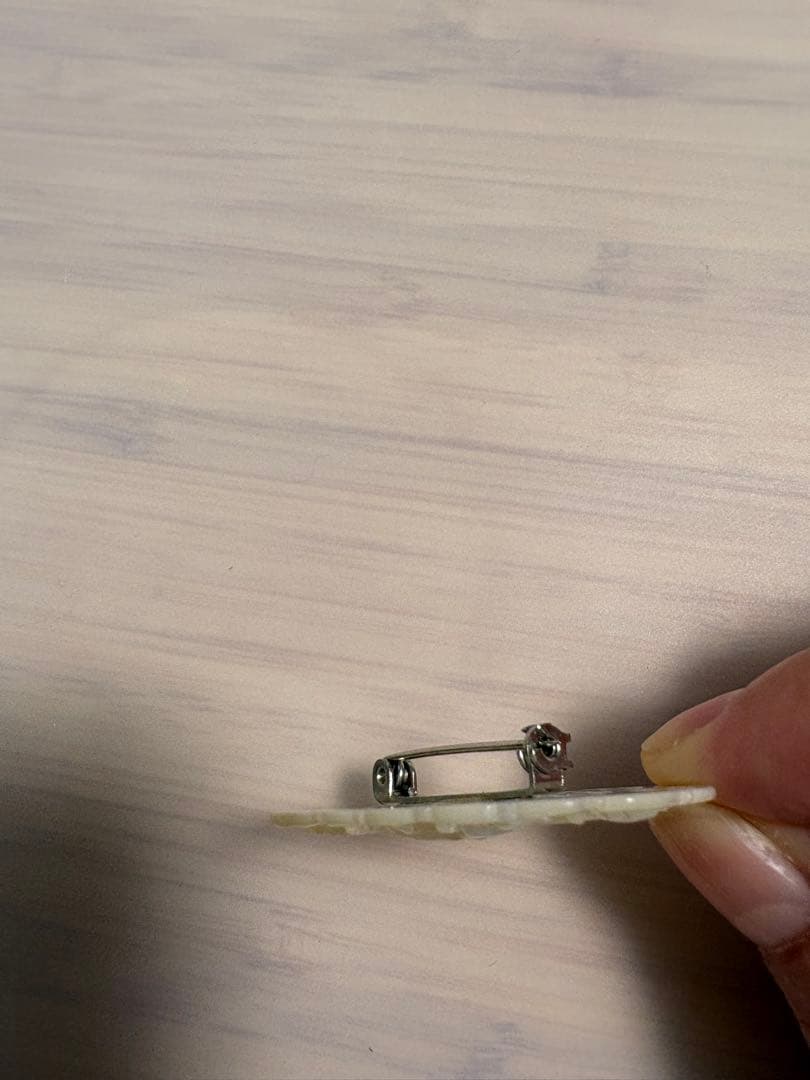 ⭐︎ベツレヘムパール⭐︎鳩のブローチ