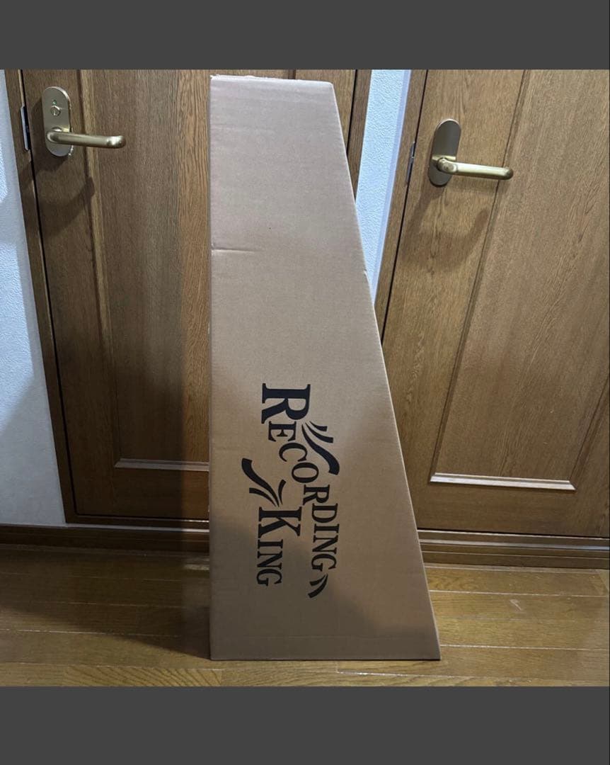 Recording King RO-G6スプルース単板トップ 弦高調整済み