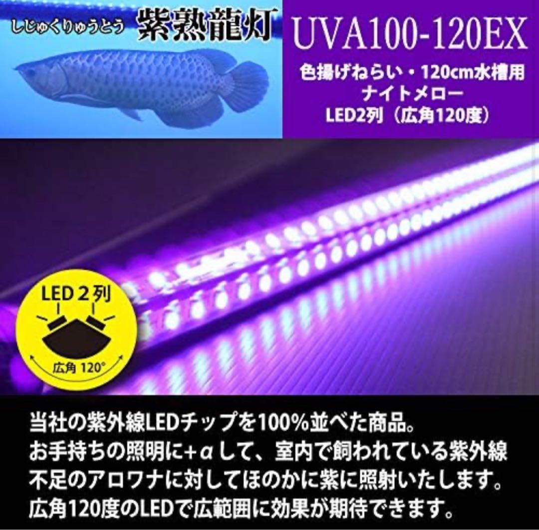 シ*ウ様 でんらい製　紫熟龍灯　（ナイトメロー/UV100A）アロワナ色揚げライ