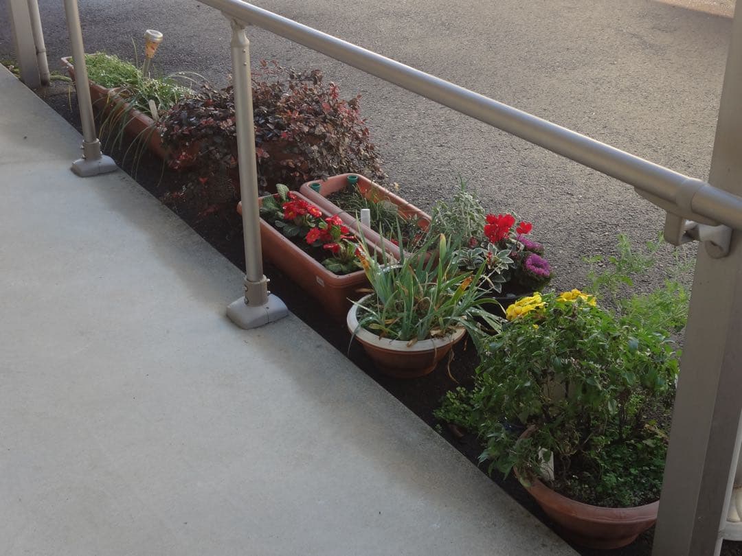 SONY サイバーショット DSC-WX10 パープル