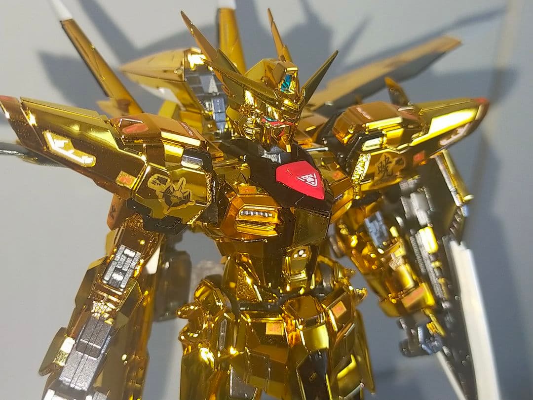 RG アカツキガンダム　オオワシ装備　塗装品