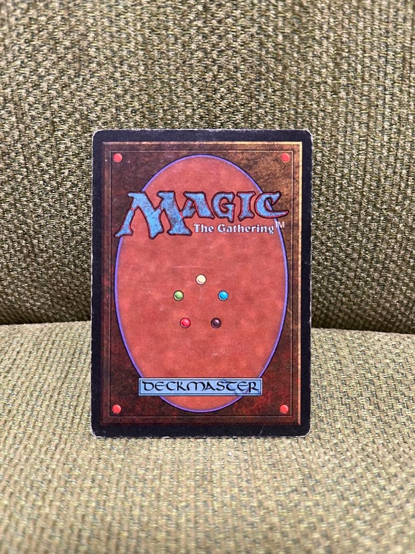 MTG　Taiga　3ED英　1枚