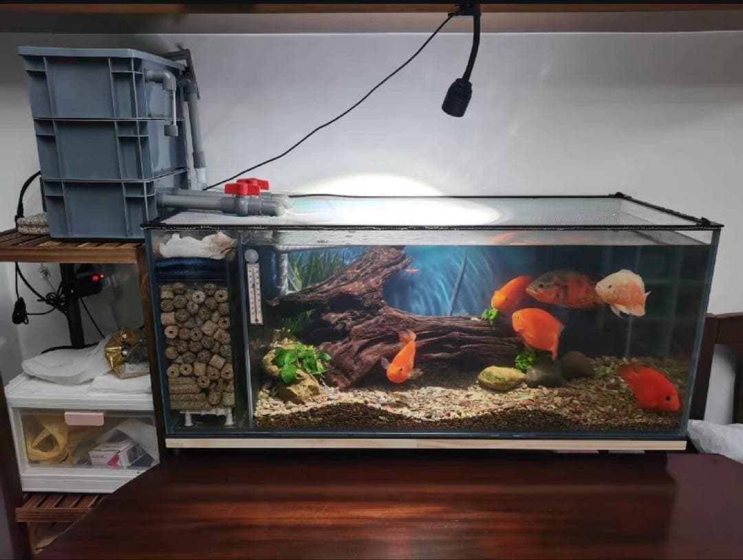 ろ材満タン付き 到着すぐ使える最強濾過装置、万能濾過フィルター即時発送送料込み