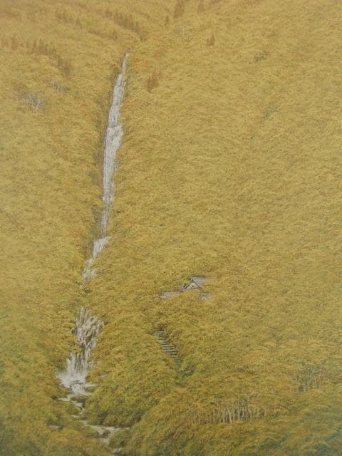 岩澤重夫、【瀧聲】、希少な額装用画集より、新品額装付、状態良好