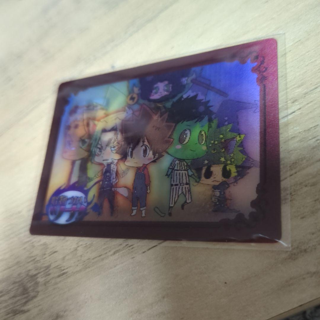 家庭教師ヒットマンREBORN!　怪物づかいツナ　チェンジングカード 雲雀 骸