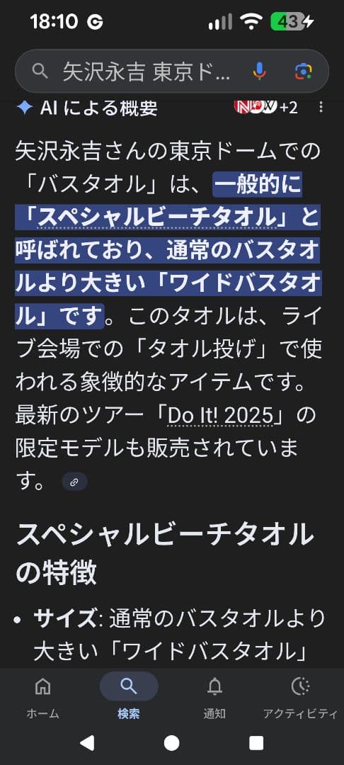 矢沢永吉　東京ドーム限定　バスタオル