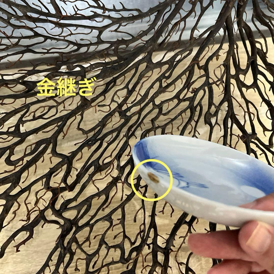 骨董　古伊万里　古瀬戸　大聖寺伊万里　印判手　青磁　豆皿５種　バラ売り不可