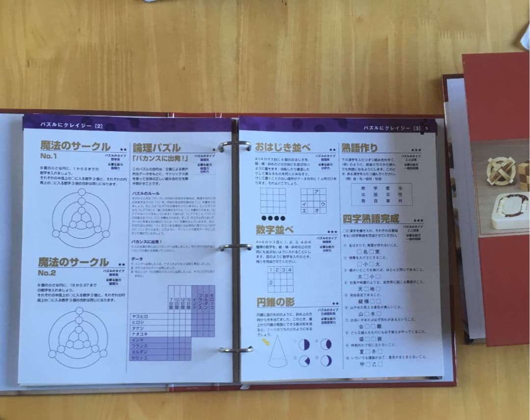 パズルコレクション　17点