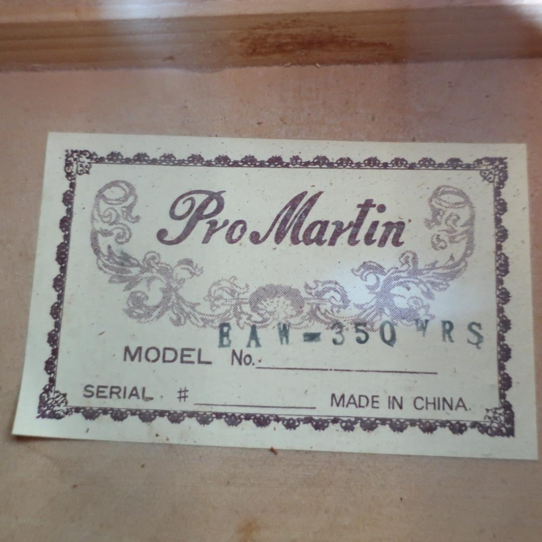 Pro Martin EAW-350 WRS エレアコ ギター ケース付