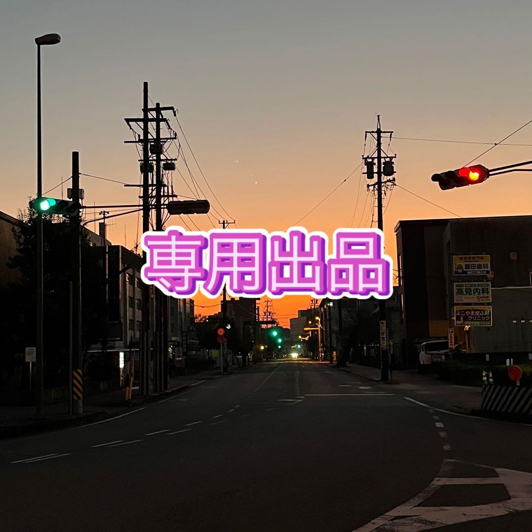 【ハンドメイド】81.竜の落とし子・星の銀河・紫と緑・台座