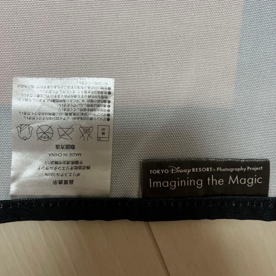 ディズニー　実写　タペストリー　imagining the magic