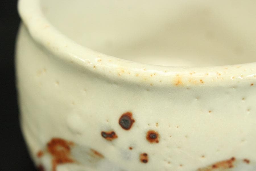 茶道具 志野茶碗 菊 泉窯 在銘 源 共箱(メ1804)