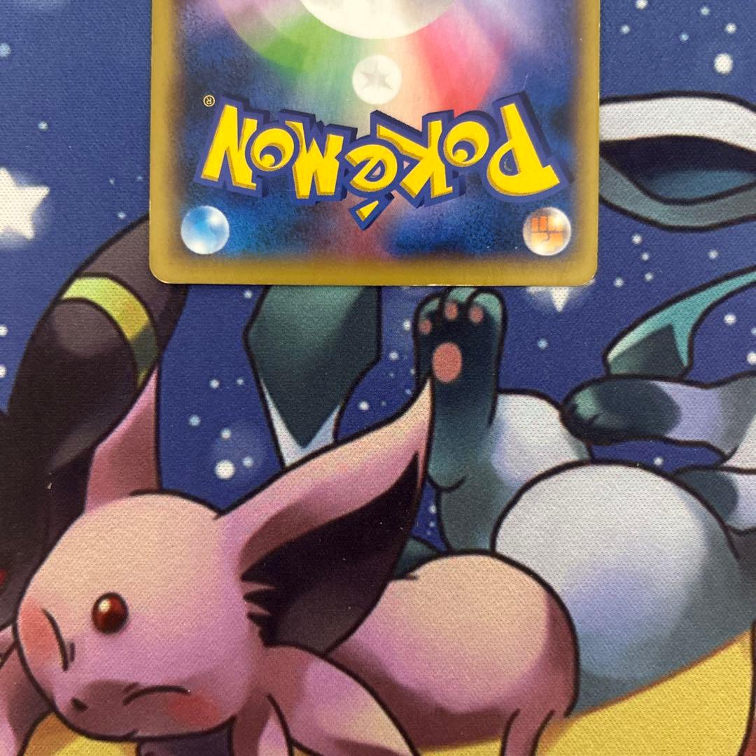 ポケモンカードゲーム　ポケカ　ポケモンだいすきクラブ(SR) ワイルドブレイズ