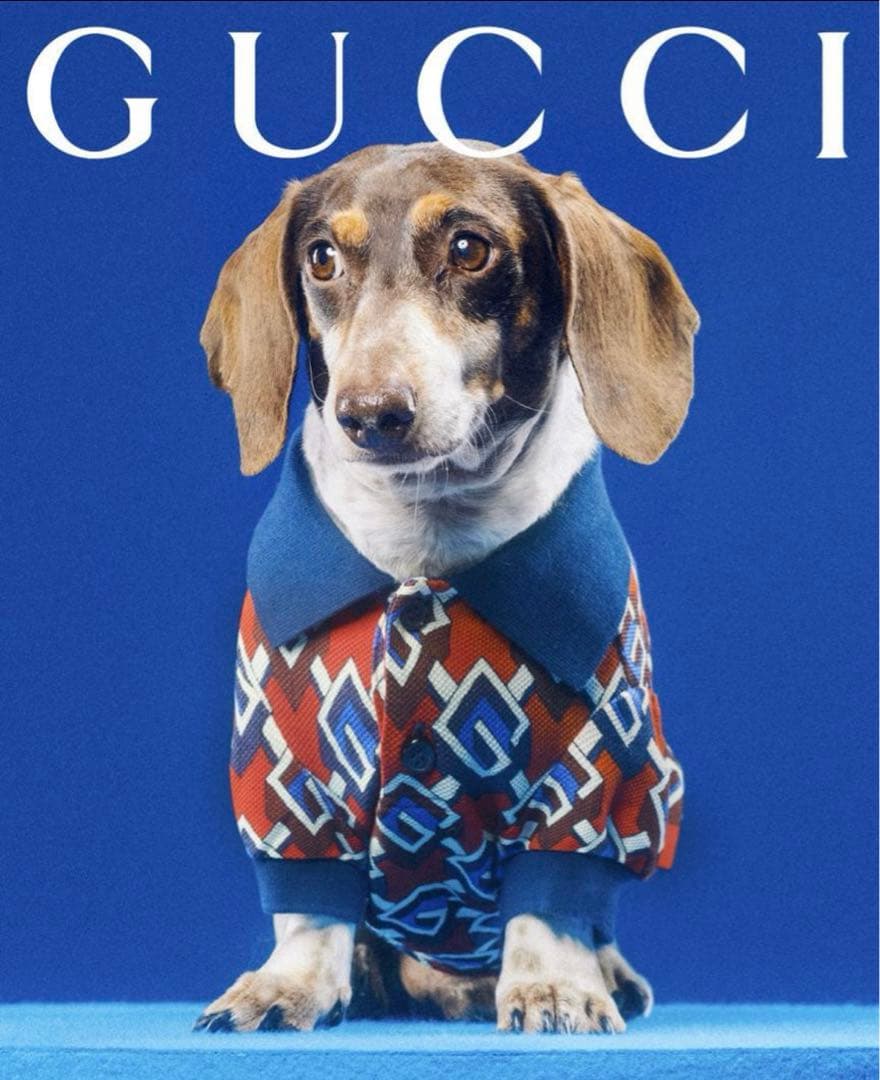 新品 グッチ G ジオメトリック ドッグ Tシャツ ドッグウェア モノグラム L