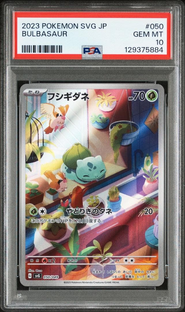 PSA10 3連番 御三家 フシギダネ ヒトカゲ ゼニガメ AR　①