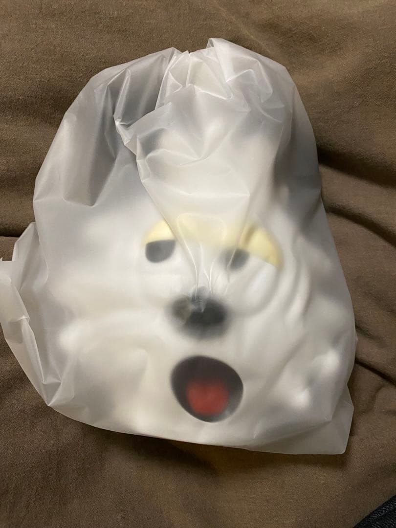 コレクション VERDY/SECRETBASE JINS&SUN Vick