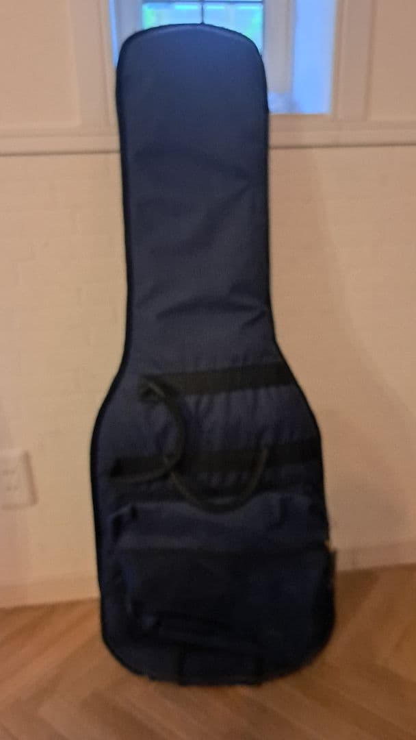 LINE6 Variax 600 バリアックス ライン6 モデリングギター