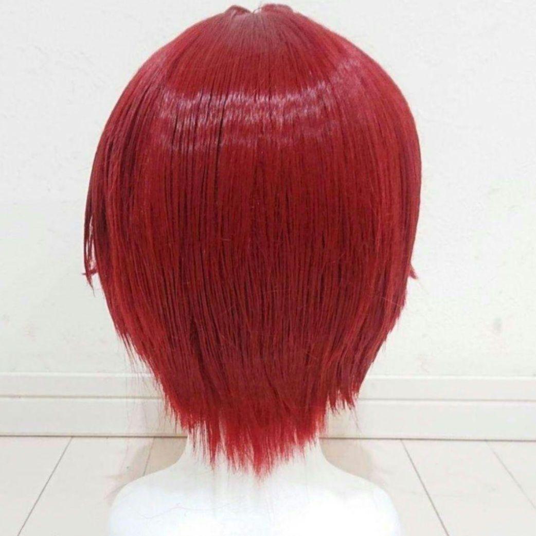 ツイステ　リドル　コスプレ衣装　ウィッグ