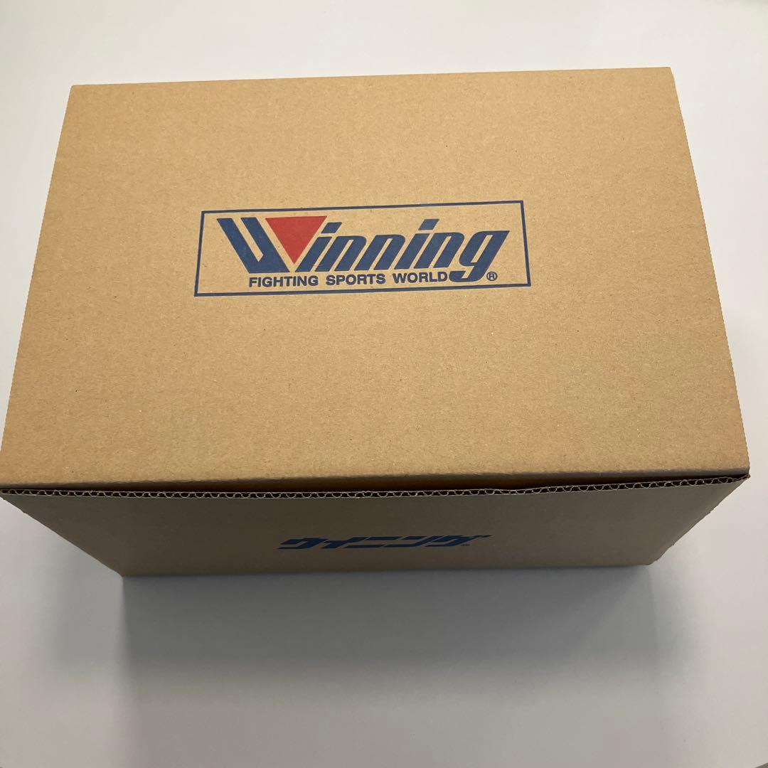 Winning ヘッドギア FG2900 サイズL