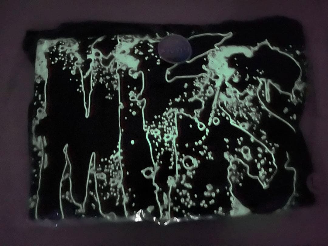 【未使用】MY FIRST STORY ロゴパーカー　蓄光プリント　L