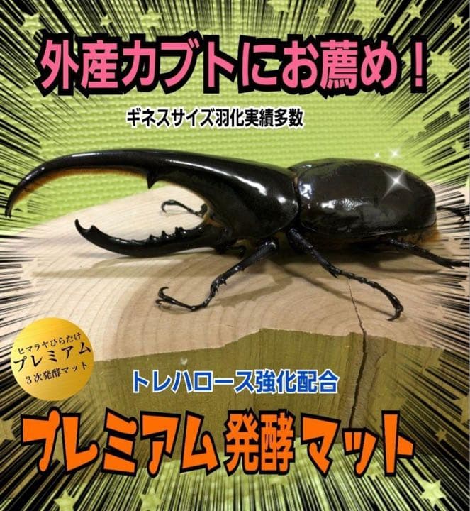 大人気！雑虫がわかない！完全室内製造！極上！プレミアム発酵カブトムシマット　5袋