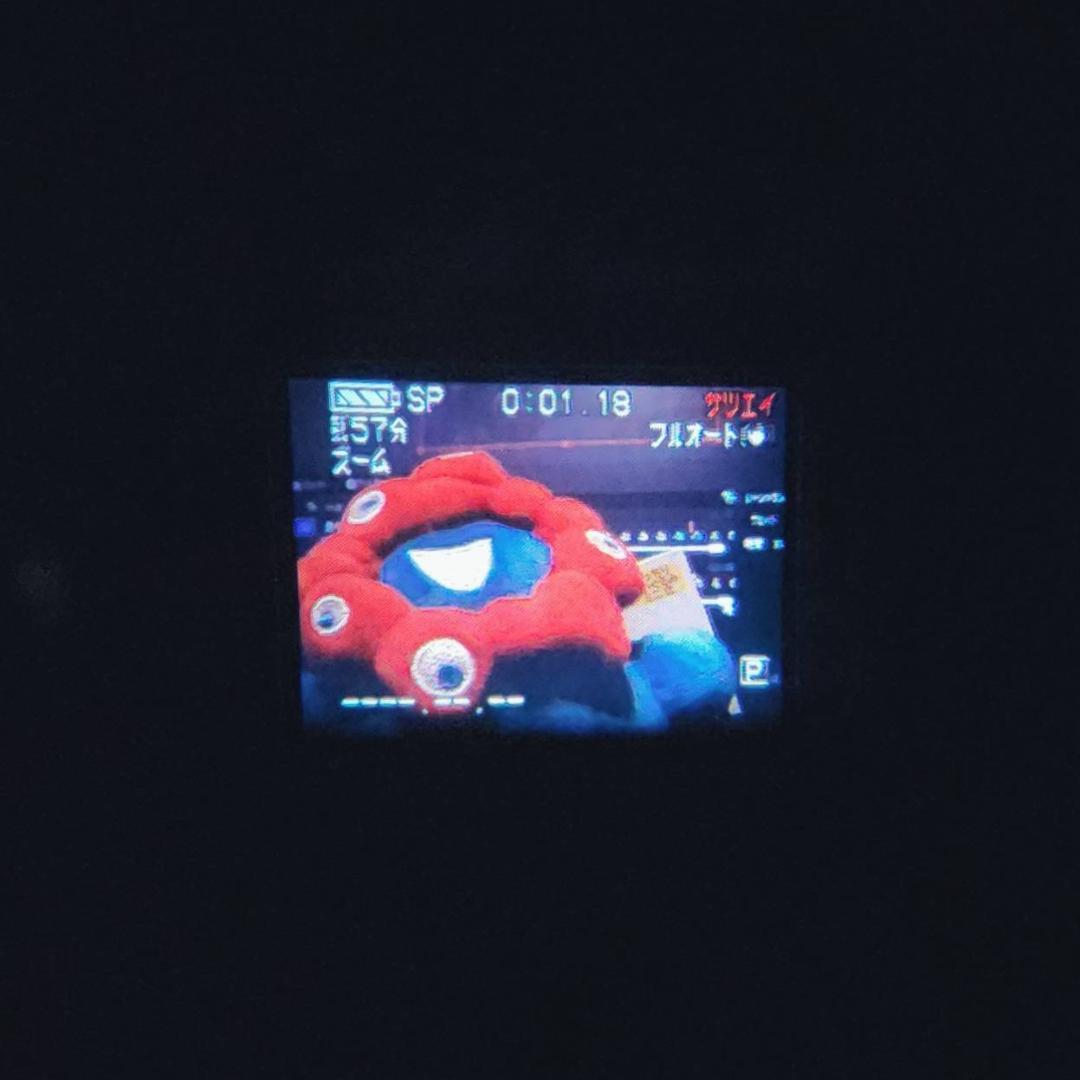 【動作確認済】高画質 Panasonic MiniDV ビデオカメラ 説明書付