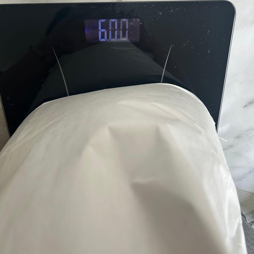 ジェスモナイト　バラ不可