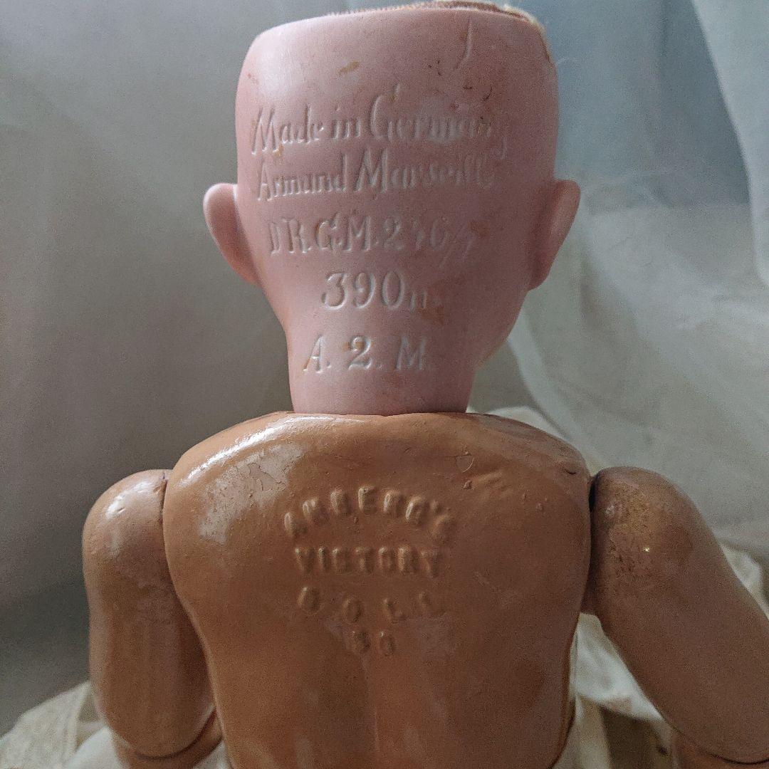 ルイス　アンバーグ　51㌢