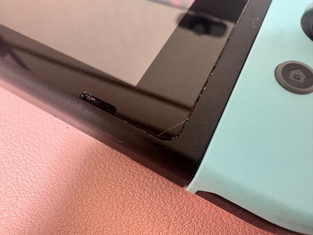 Nintendo Switch どうぶつの森