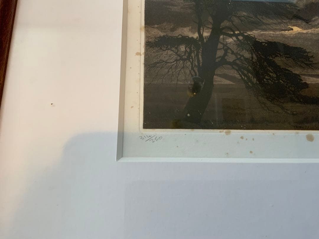 フィル・グリーンウッド ボーダーカントリー1980年