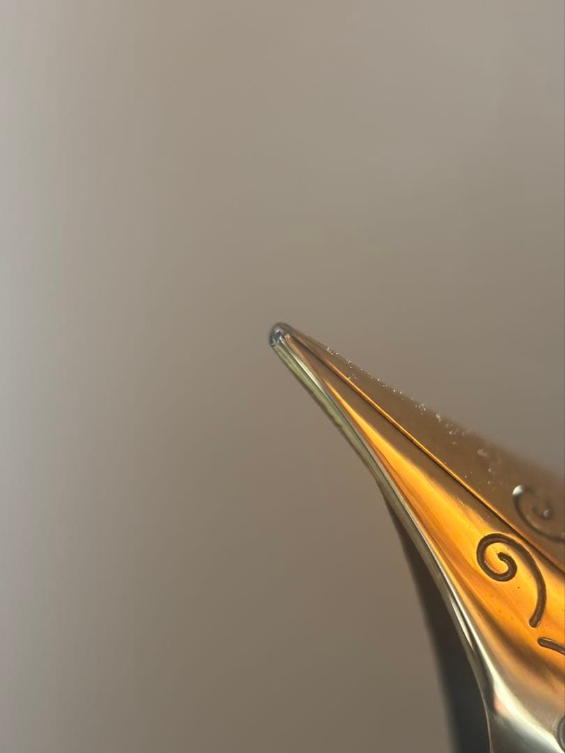 アウロラ タレンタム 七子塗 14k EF