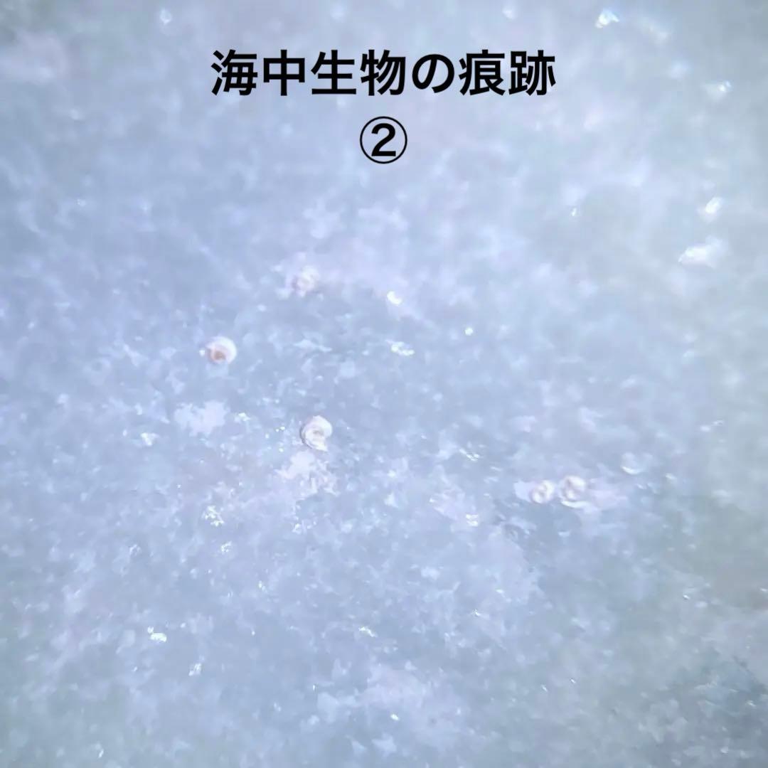 糸魚川翡翠　海中翡翠　海石　翡翠輝石　原石　261.8ｇ