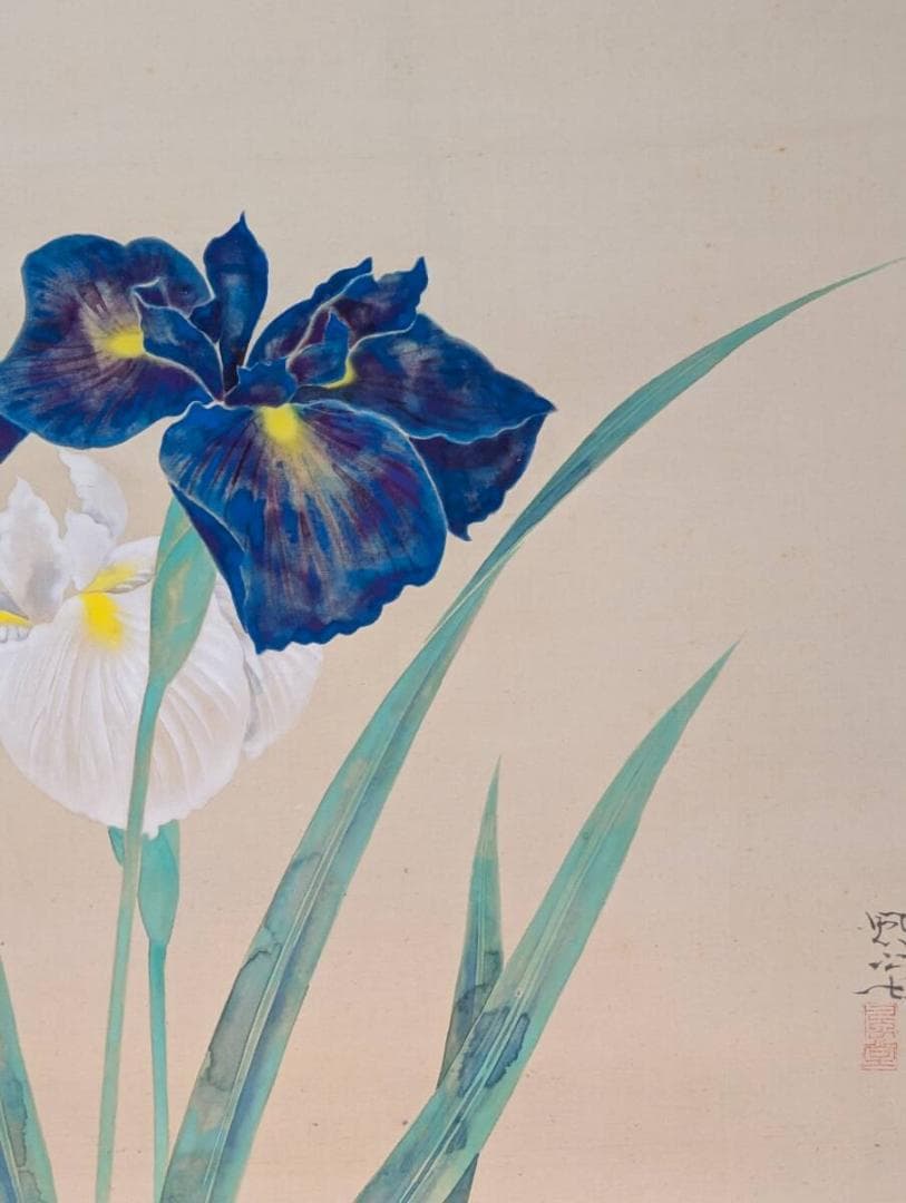 【真作】掛軸　富取風堂　菖蒲　雅趣に満ちた彩色花鳥画　共箱入　T51