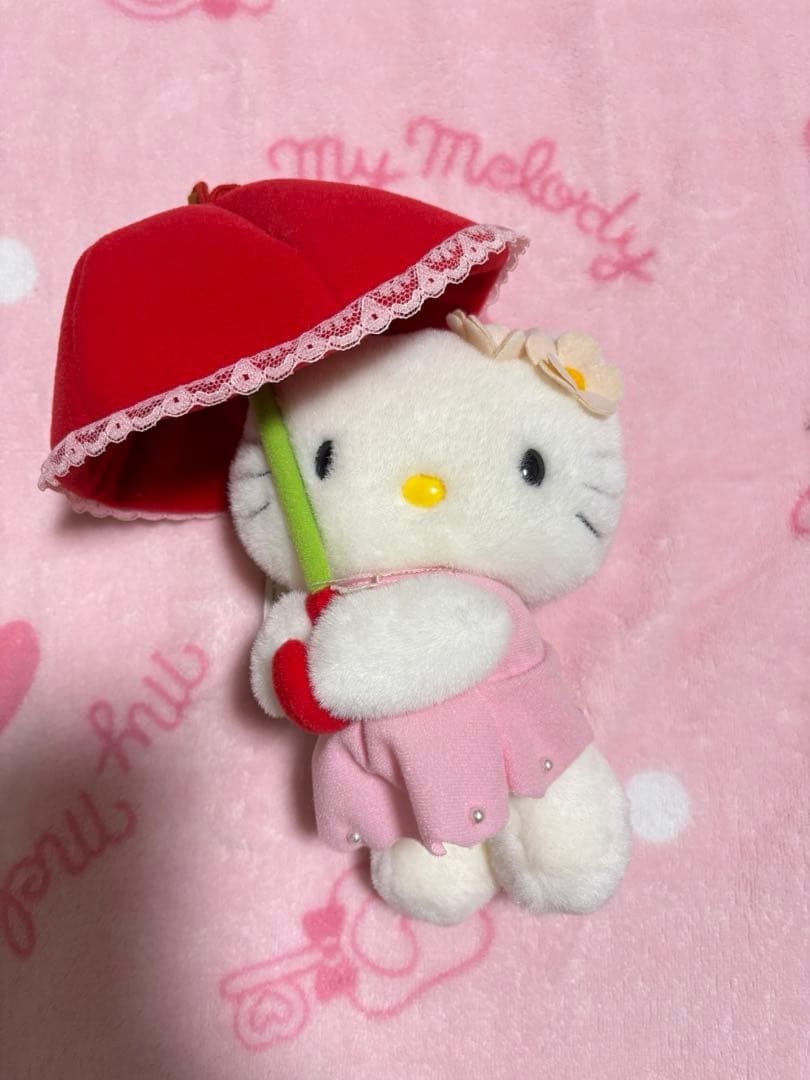 A*い様 ご当地キティ ミミィ 信州 2体セット