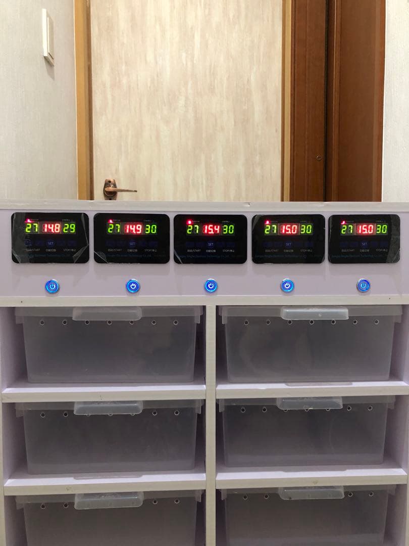 温室・ショーケース 10個収納 デジタル温度計付き