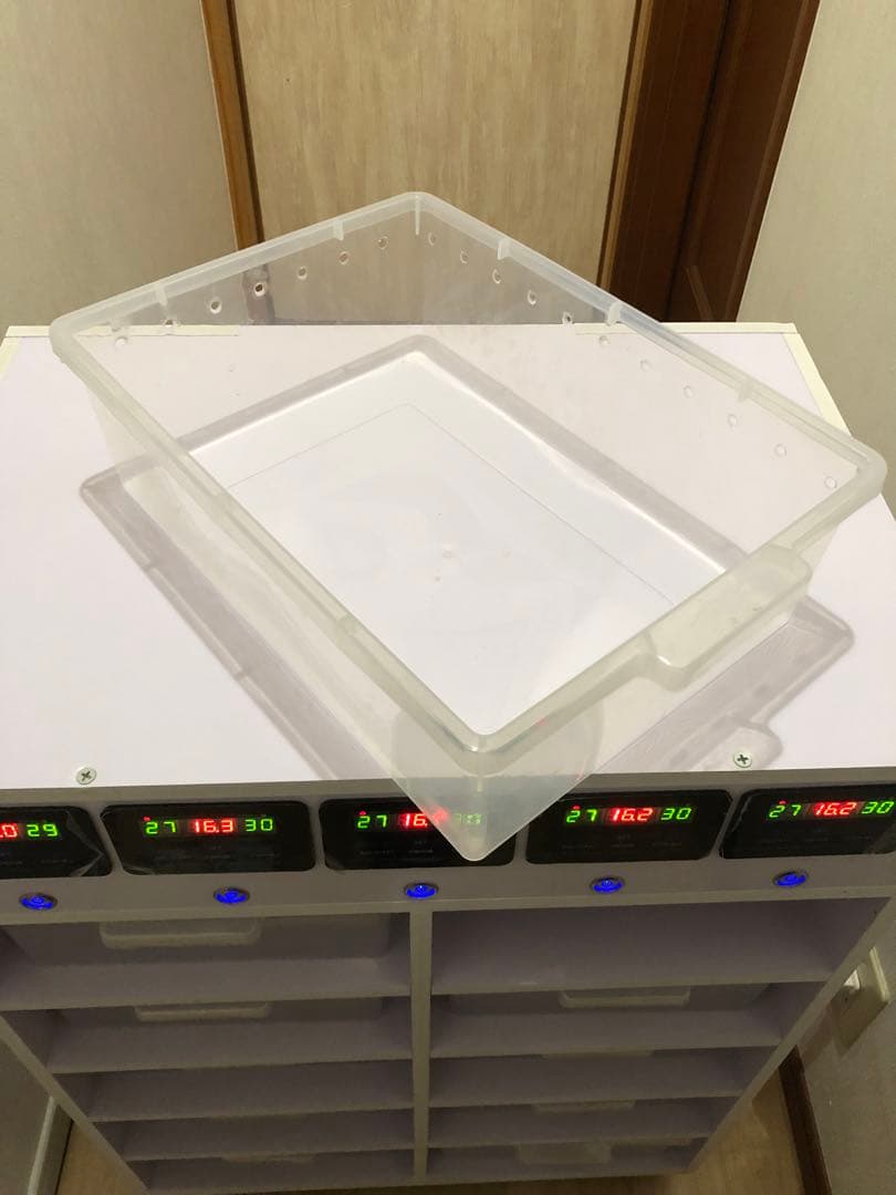 温室・ショーケース 10個収納 デジタル温度計付き