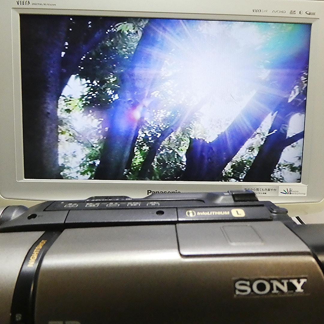 動作良好 ソニー CCD-TR290　 Video.Hi8デジタルビデオカメラ
