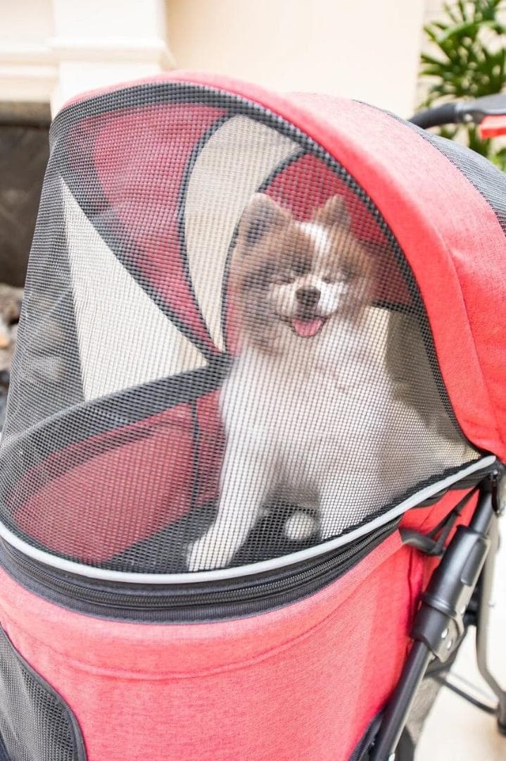 ペットアンドペッツ カタリナ ペットストローラー ペットカート バギー 犬 猫