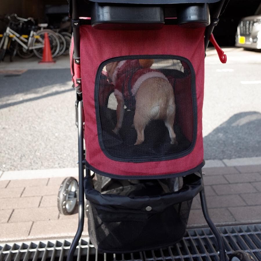 ペットアンドペッツ カタリナ ペットストローラー ペットカート バギー 犬 猫